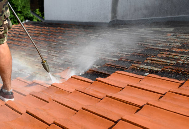 Best Best Pressure Washing Companies  in East Camden, AR